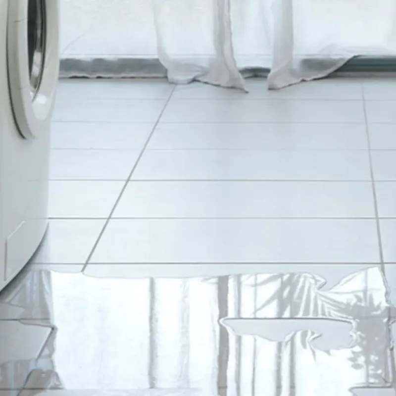 Appliance Leak Cleanup in Ness County, KS