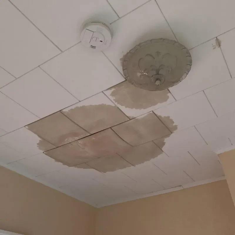 Ceiling Water Damage Repair in Ness County, KS