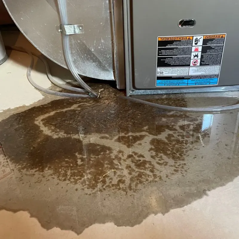 Pipe Burst and Leak Restoration in Ness County, KS
