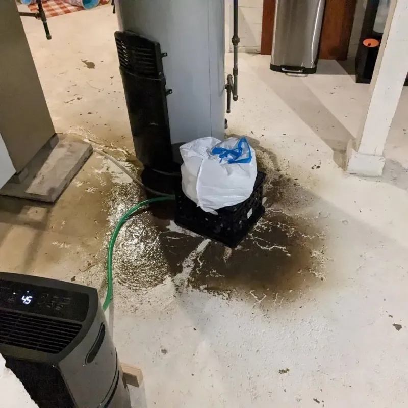 Sewage Backup Cleanup Service in Ness County, KS